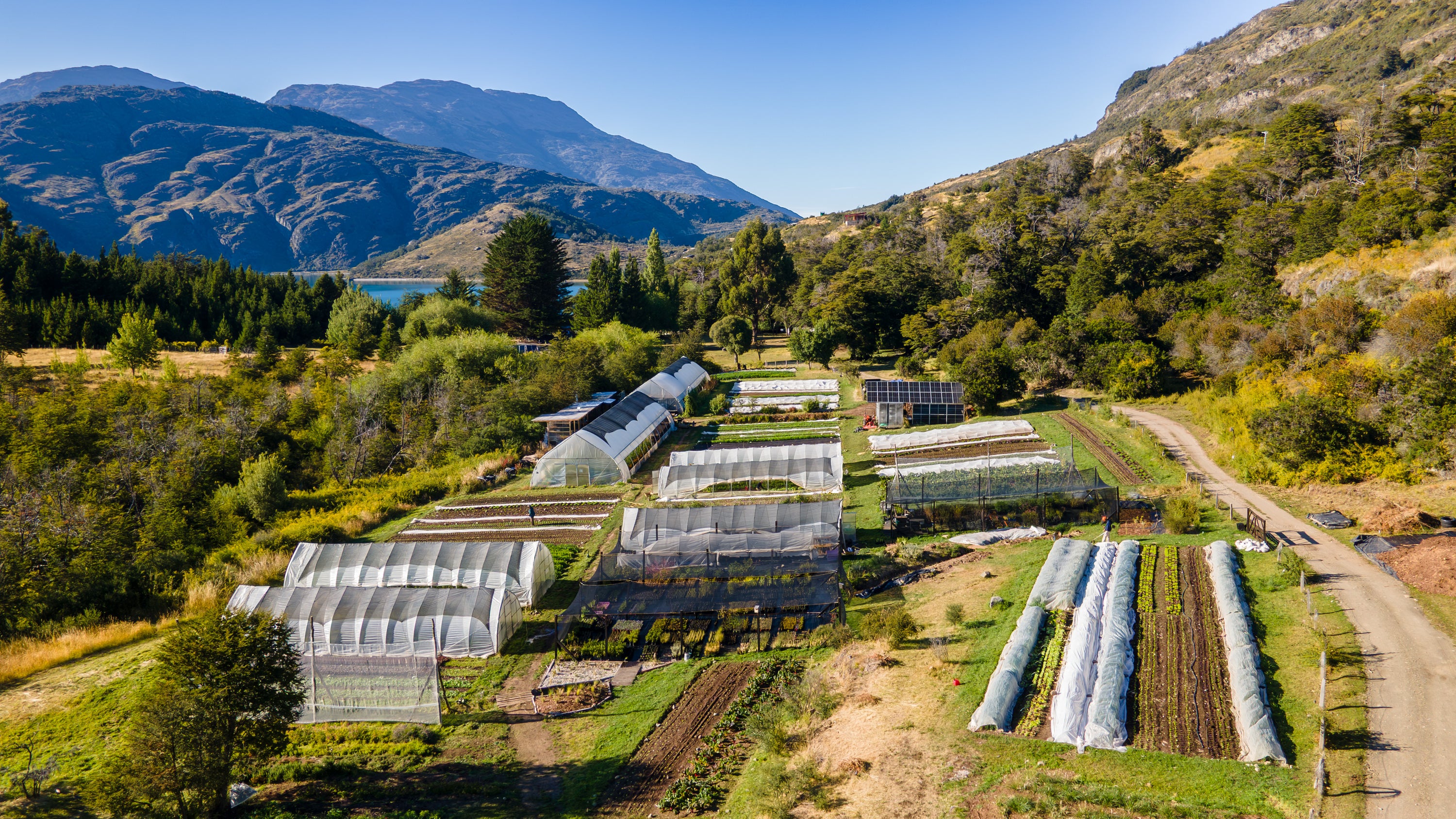Huerto de cuatro estaciones — Puntacamp