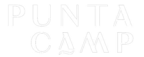 Puntacamp
