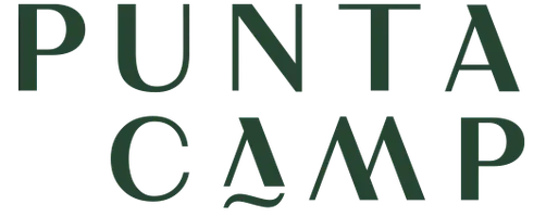 Puntacamp